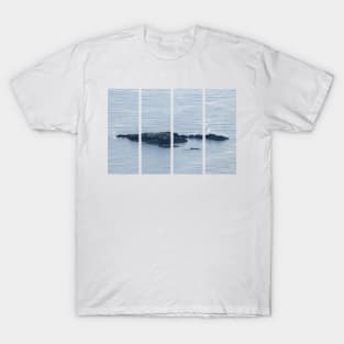 Wonderful landscapes in Norway. Vestland. Beautiful scenery of Vestkapp and surroundings. Cloudy day. T-Shirt